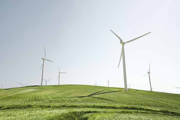 Climate change and small business
